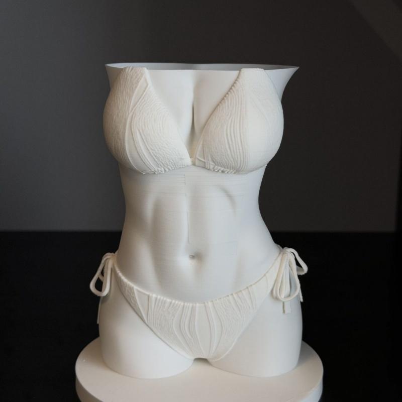 Bikini Body Pen Holder 3D Prin - огляд і ціна 3D Printing Pen For Adults
