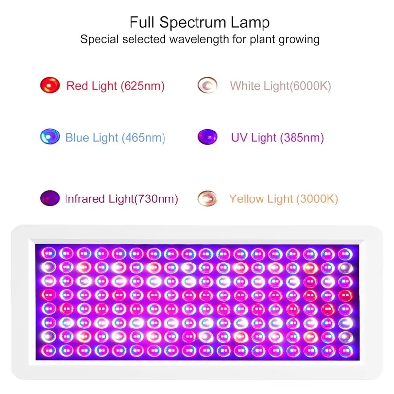 2026 Latest UV Light Box for S - огляд і ціна Resin Curing Station