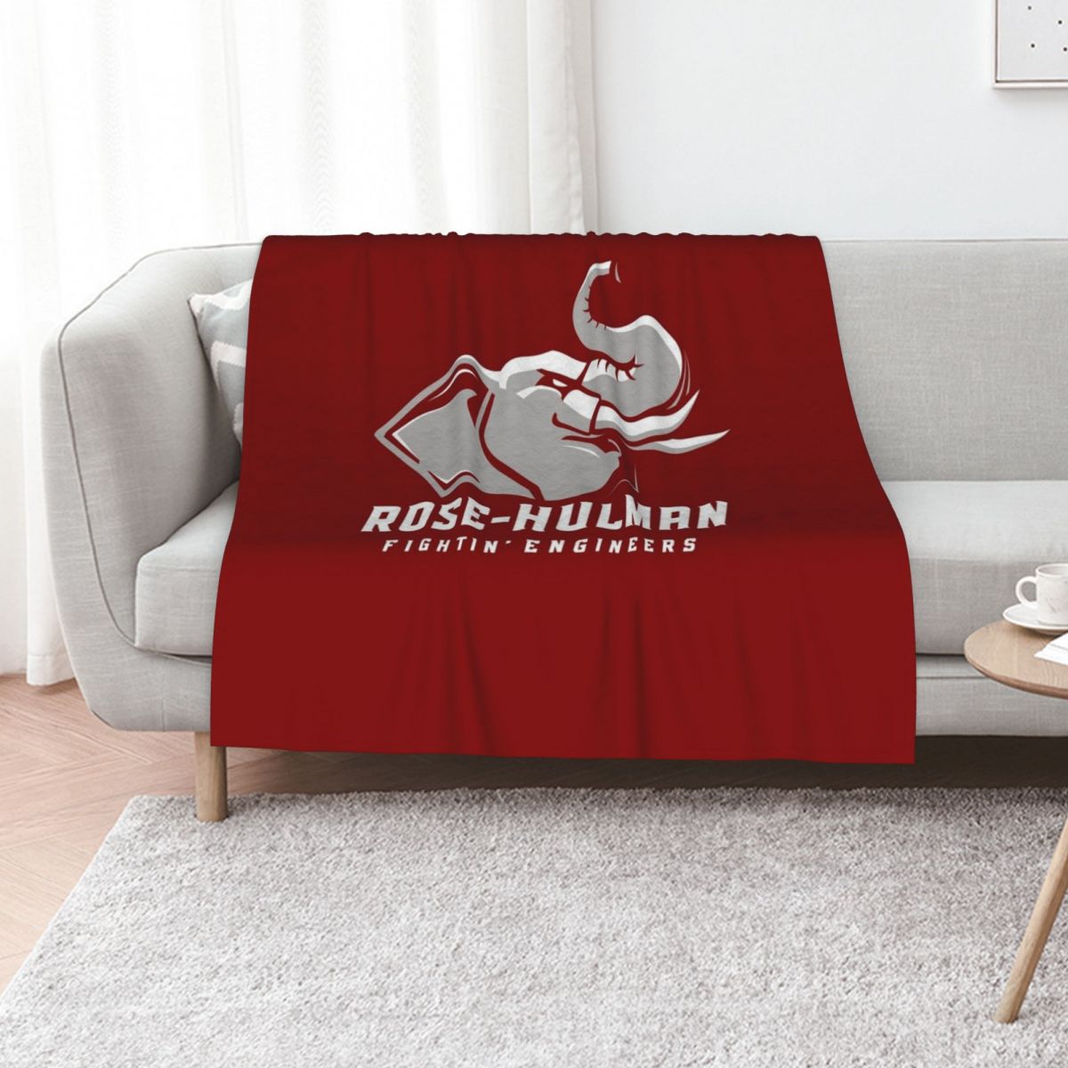 The Rose Hulman Fightin' Engin - огляд і ціна 3D Printing Engineer